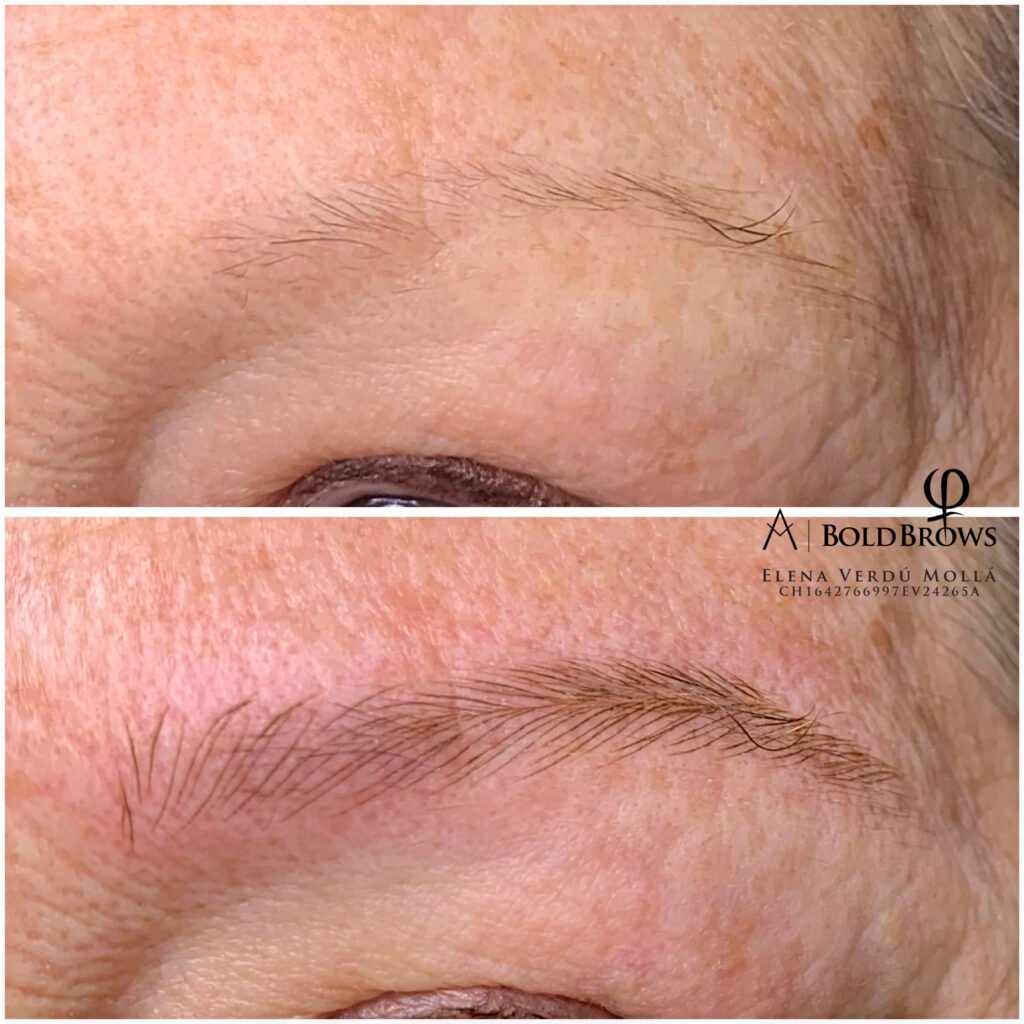 E916445B-9042-406F-B585-EABA632050C1